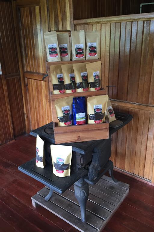 Green Mountain And Lodge Turrialba Exterior foto