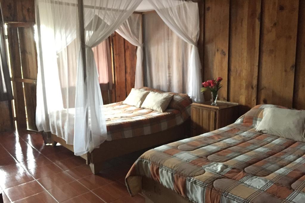 Green Mountain And Lodge Turrialba Exterior foto