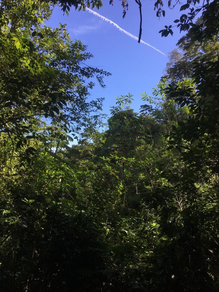 Green Mountain And Lodge Turrialba Exterior foto